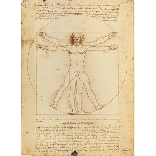 Puzzle 500 db-os - Leonardo: Vitruvius tanulmány - Clementoni (35001)