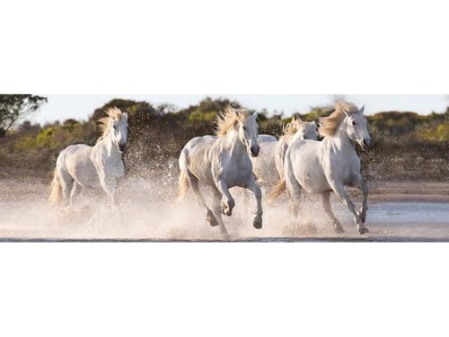 Puzzle 1000 db-os Panorama - Running Horses - Clementoni 39441