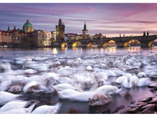 Puzzle 1000 db-os - Swans in Prague - Christian Ringer - Schmidt 59695